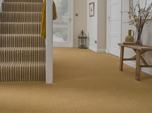 Penthouse Carpets